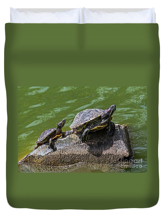 Golden Gate Park Duvet Cover featuring the photograph Learning the Ropes by Kate Brown