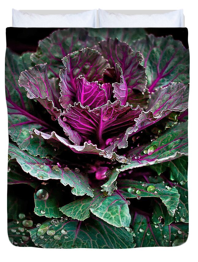 Rain Duvet Cover featuring the photograph Decorative Cabbage After Rain Photograph by Walt Foegelle
