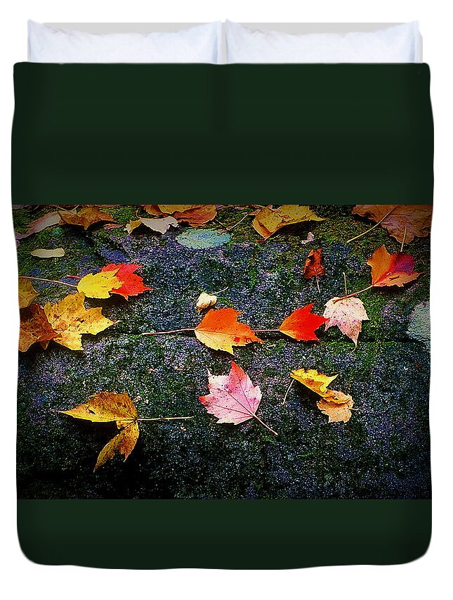 Fine Art Duvet Cover featuring the photograph Leaves on Rock by Rodney Lee Williams