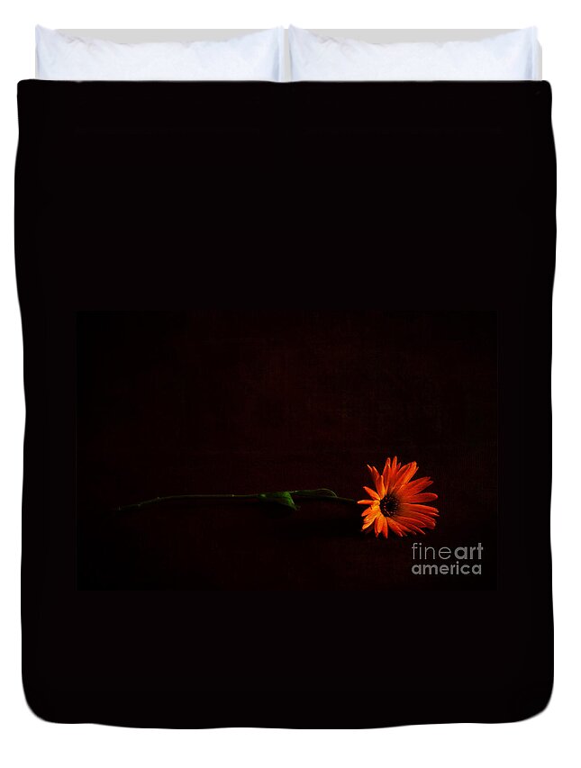 Flowers Duvet Cover featuring the photograph Left Behind by Randi Grace Nilsberg