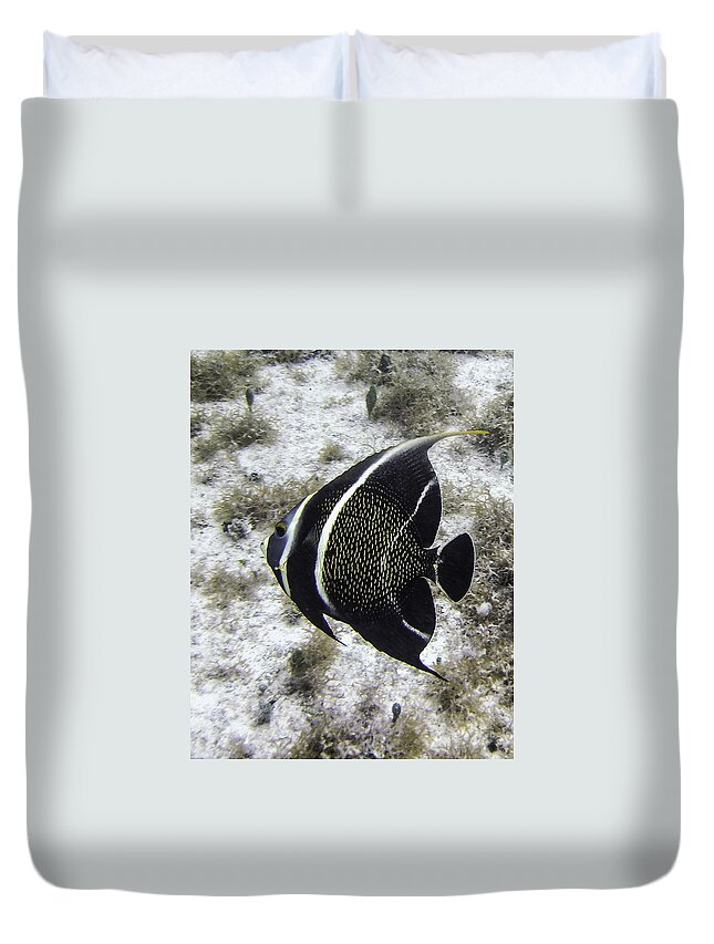 Fish Duvet Cover featuring the photograph Left Turn by Lynne Browne