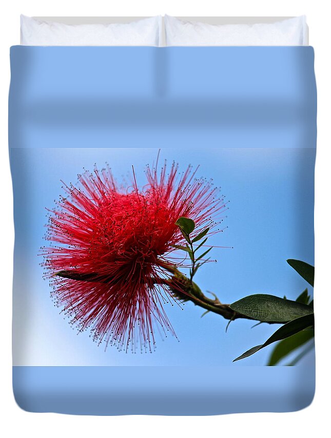 Lehua Duvet Cover featuring the photograph Lehua Blossom by Venetia Featherstone-Witty