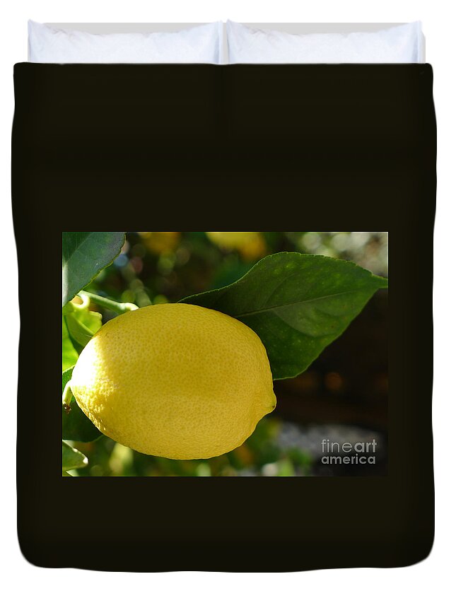 Lemon Duvet Cover featuring the photograph Lemon by Nora Boghossian