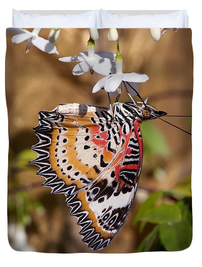 Scenic Duvet Cover featuring the photograph Leopard Lacewing Butterfly DTHU619 by Gerry Gantt