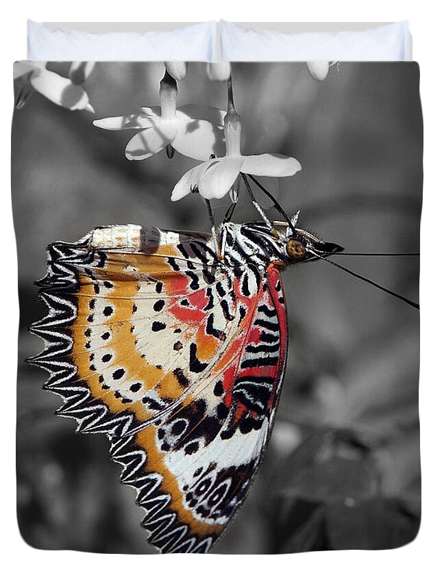 Scenic Duvet Cover featuring the photograph Leopard Lacewing Butterfly DTHU619BW by Gerry Gantt