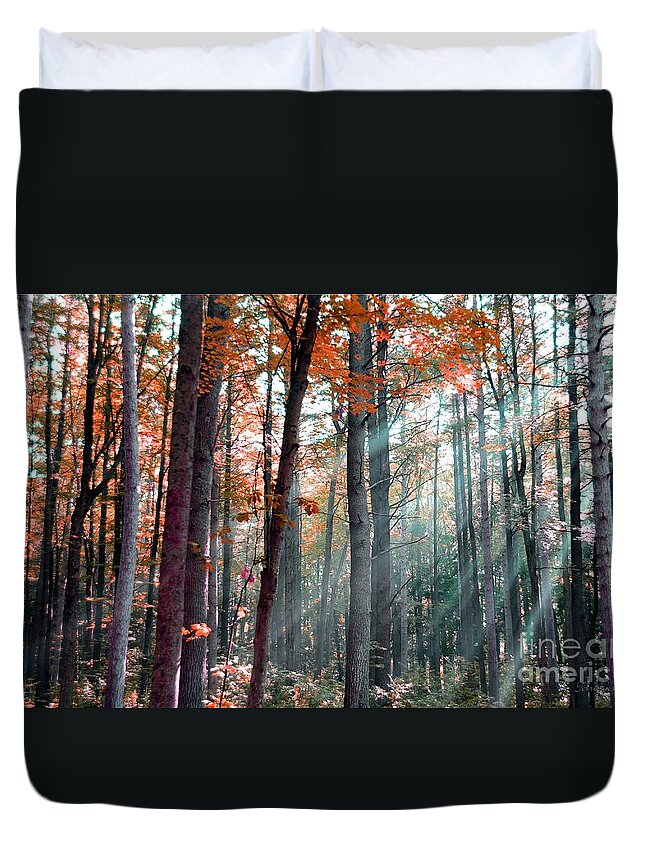 Sun Duvet Cover featuring the photograph Let There Be Light by Terri Gostola