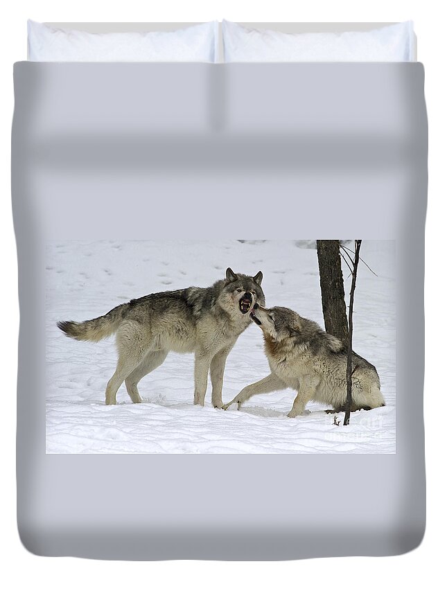 Nina Stavlund Duvet Cover featuring the photograph Lets Play... by Nina Stavlund