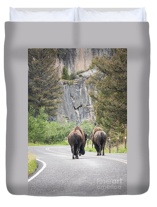 Yellowstone Duvet Cover featuring the photograph Let's Start This Day... by Olivier Steiner