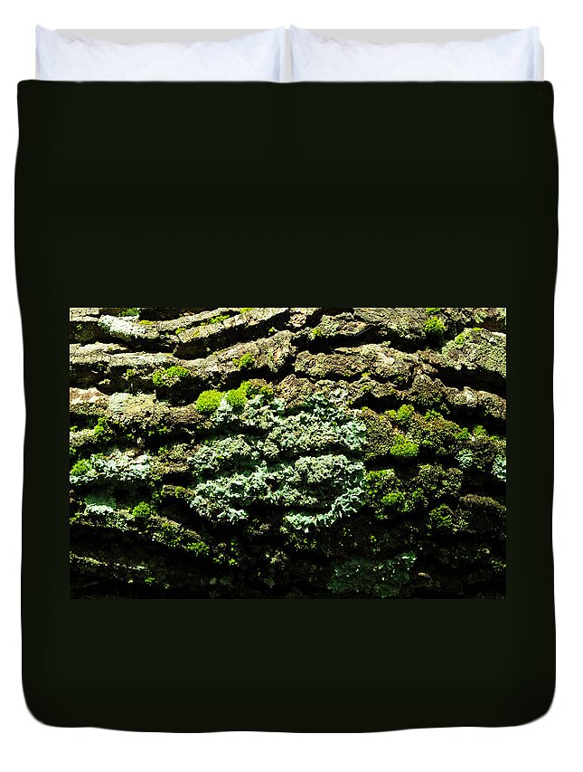 Ecosystem Duvet Cover featuring the photograph Life After Life by Rebecca Sherman