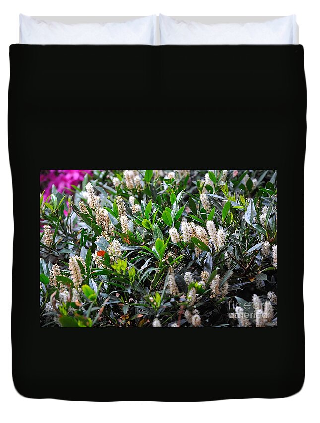 Flowers Duvet Cover featuring the photograph Life before budding by Wesley Farnsworth