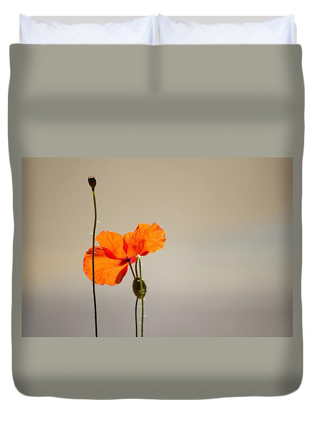 Poppy Duvet Cover featuring the photograph Life by Spikey Mouse Photography