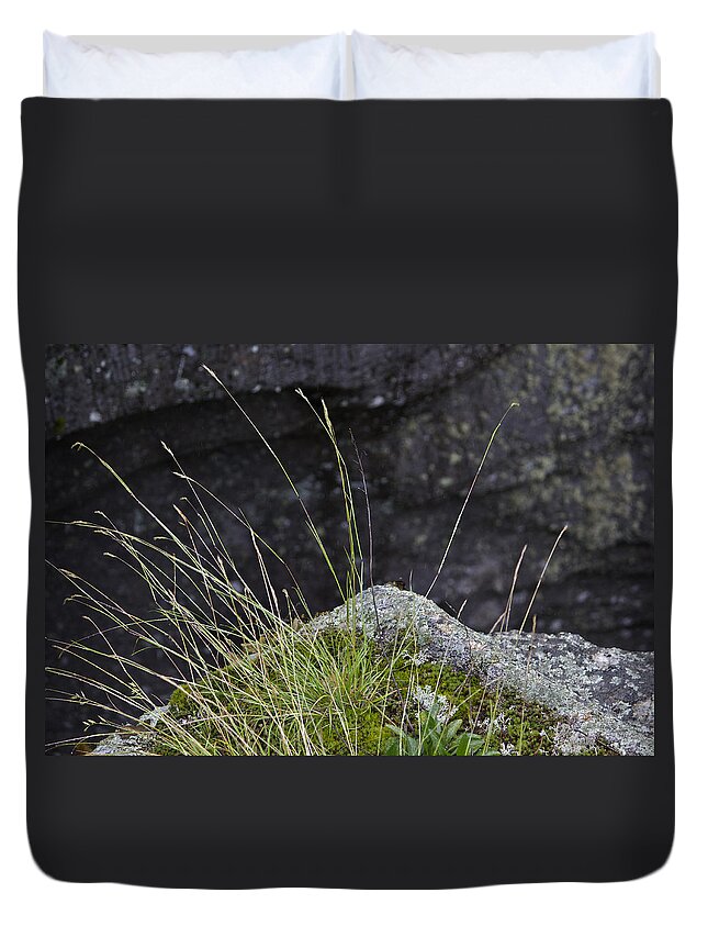 Grass Duvet Cover featuring the photograph Life on the Edge by Peter J Sucy