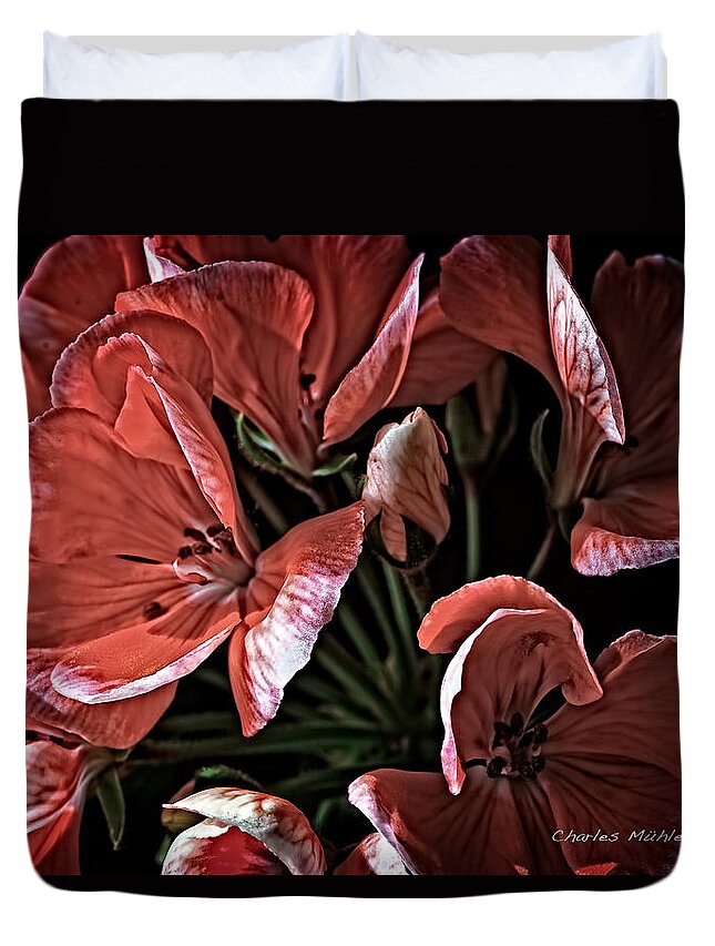Geraniums Duvet Cover featuring the mixed media Light and shadow by Charles Muhle