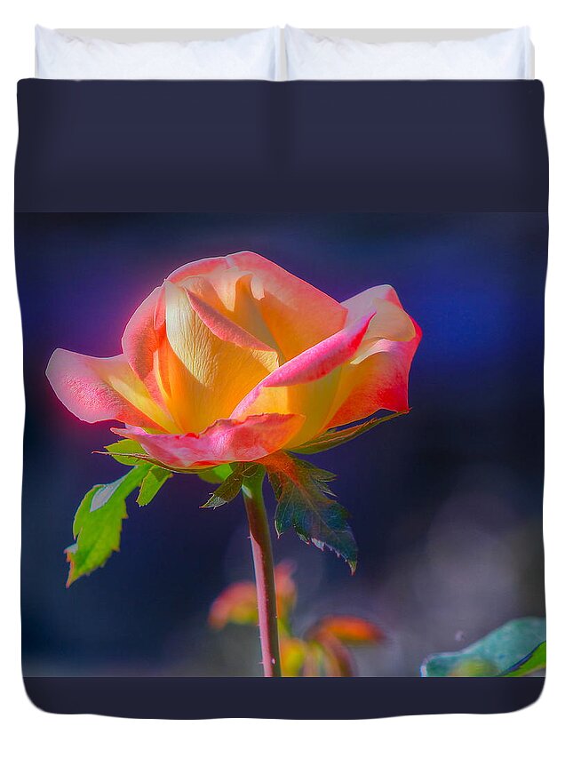 Nature Duvet Cover featuring the photograph Flower 10 by Albert Fadel