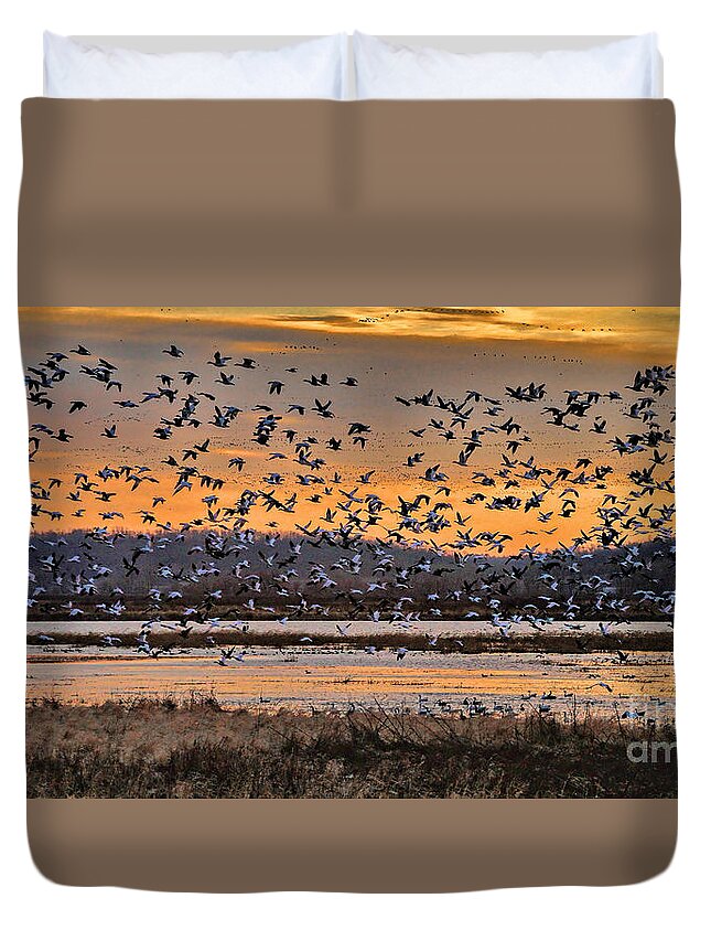 Migration Duvet Cover featuring the photograph Light of Dawn by Elizabeth Winter