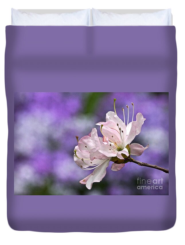 Azalea Blossom Duvet Cover featuring the photograph Light Pink Azalea Blossom With Lilac Bokeh by Byron Varvarigos