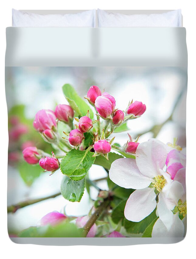 Belgium Duvet Cover featuring the photograph Light Pink Blossoms by Mieke Dalle