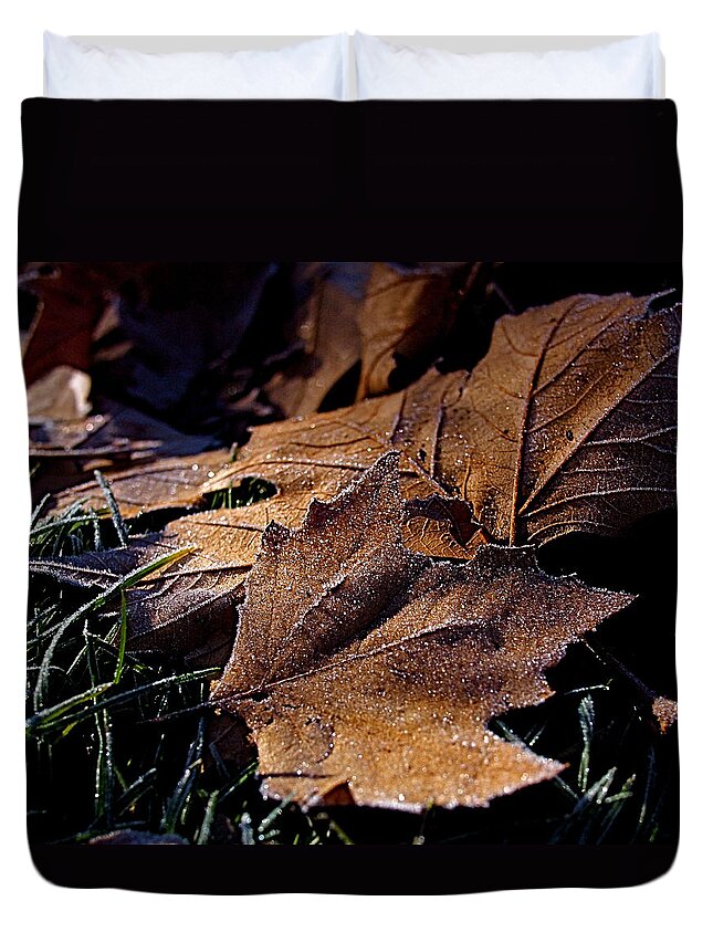 Leaves Duvet Cover featuring the photograph Lightly Frosted by Rona Black
