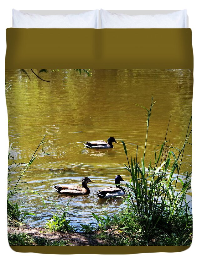 Like A Duck To Water Duvet Cover featuring the photograph Like a Duck to Water by Beth Vincent