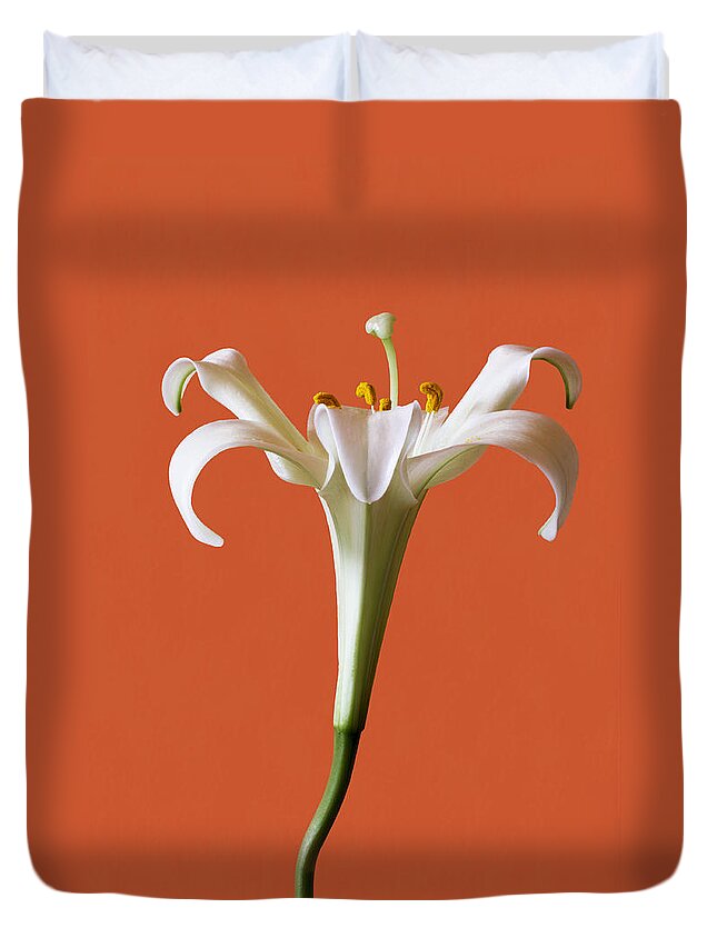 Stamens Duvet Cover featuring the photograph White Lily by Marina Kojukhova
