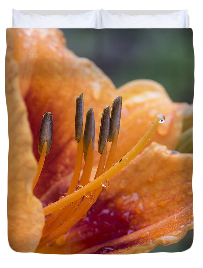 Lily Duvet Cover featuring the photograph Lily After Rain by Paul DeRocker