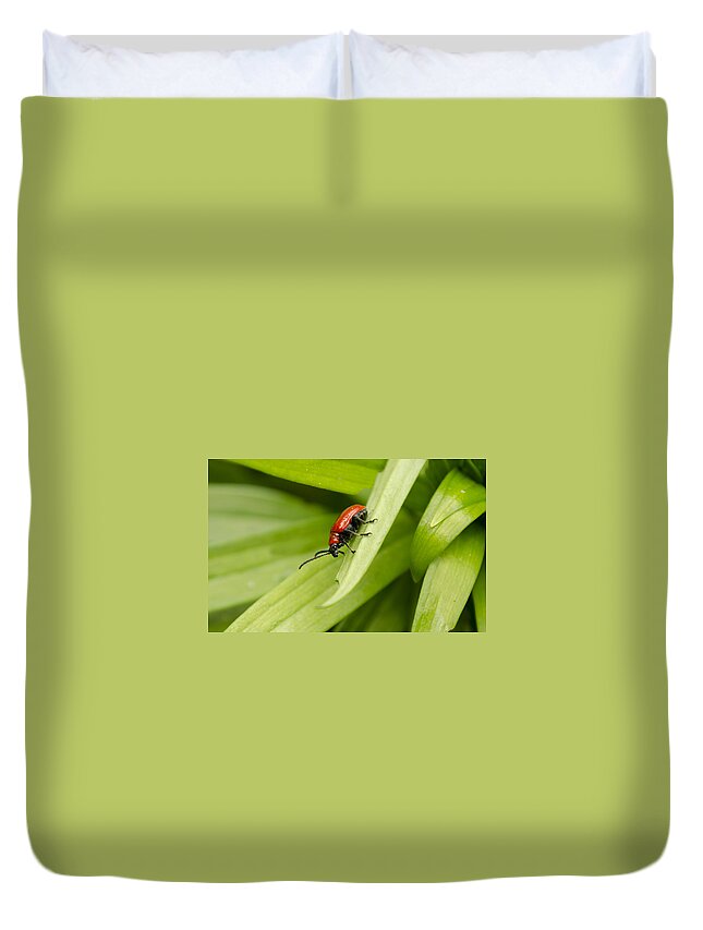 Lily Beetle Duvet Cover featuring the photograph Lily Beetle by Spikey Mouse Photography