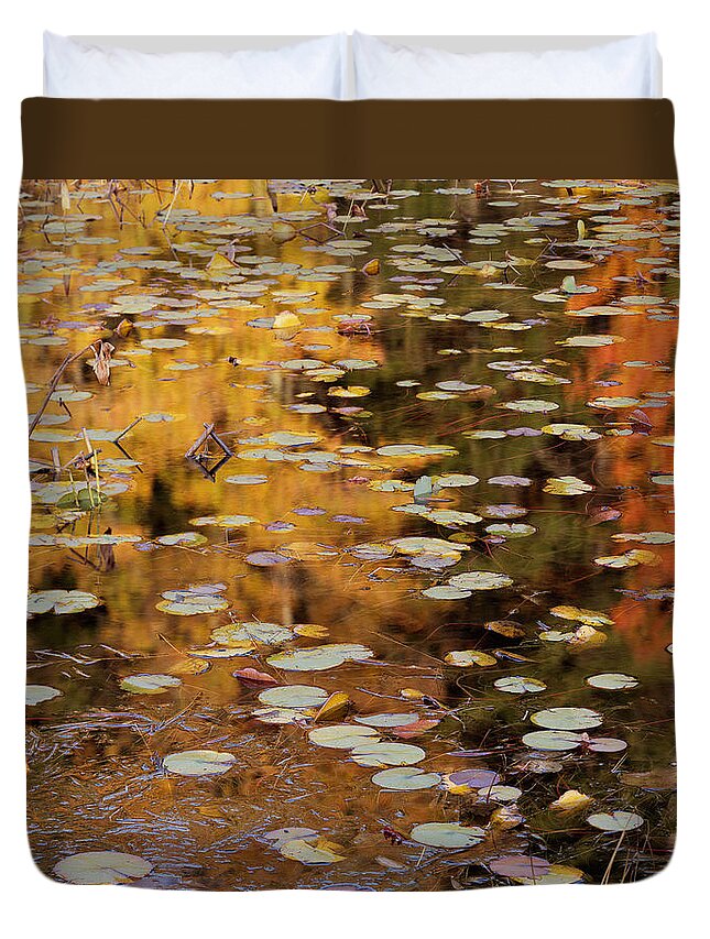 Maine Duvet Cover featuring the photograph Lilypads and Reflection-H by Tom Daniel