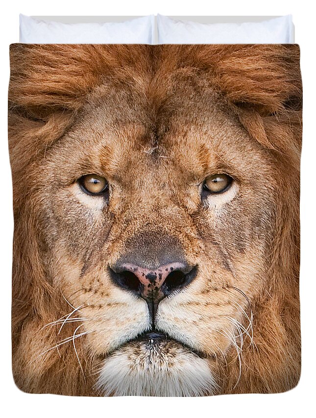 Lion Duvet Cover featuring the photograph Lion Close Up by Jerry Fornarotto