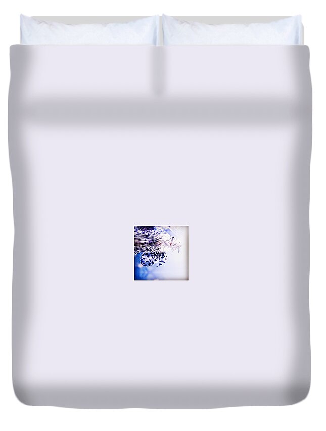 Southafrica Duvet Cover featuring the photograph Lion Fish by Aleck Cartwright
