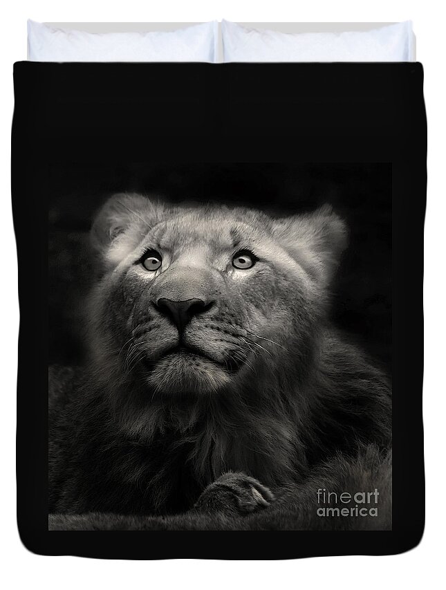 Lion Duvet Cover featuring the photograph Lion in the dark by Christine Sponchia
