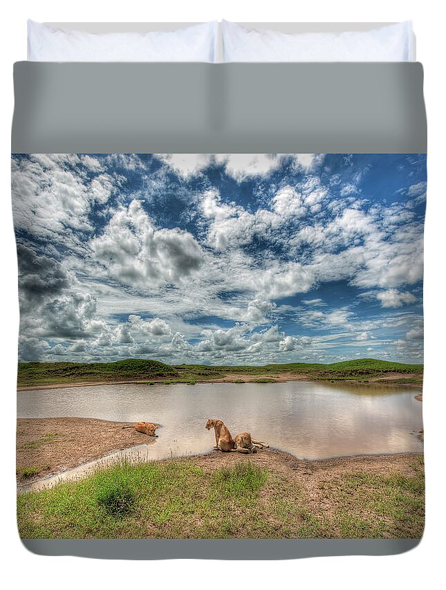 Grass Duvet Cover featuring the photograph Lions At Serengeti by Photograph By Kyle Hammons