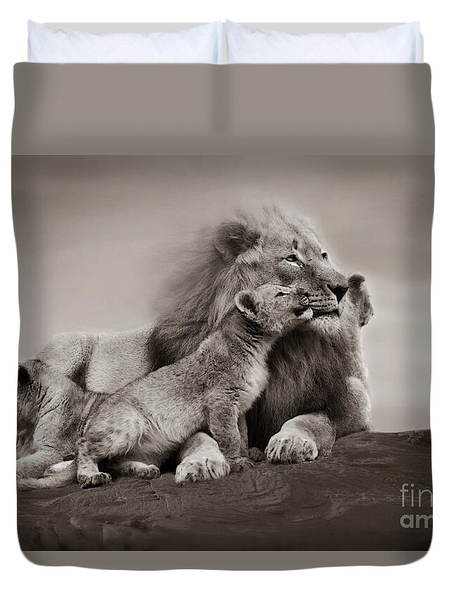 Lion Duvet Cover featuring the photograph Lions in freedom by Christine Sponchia