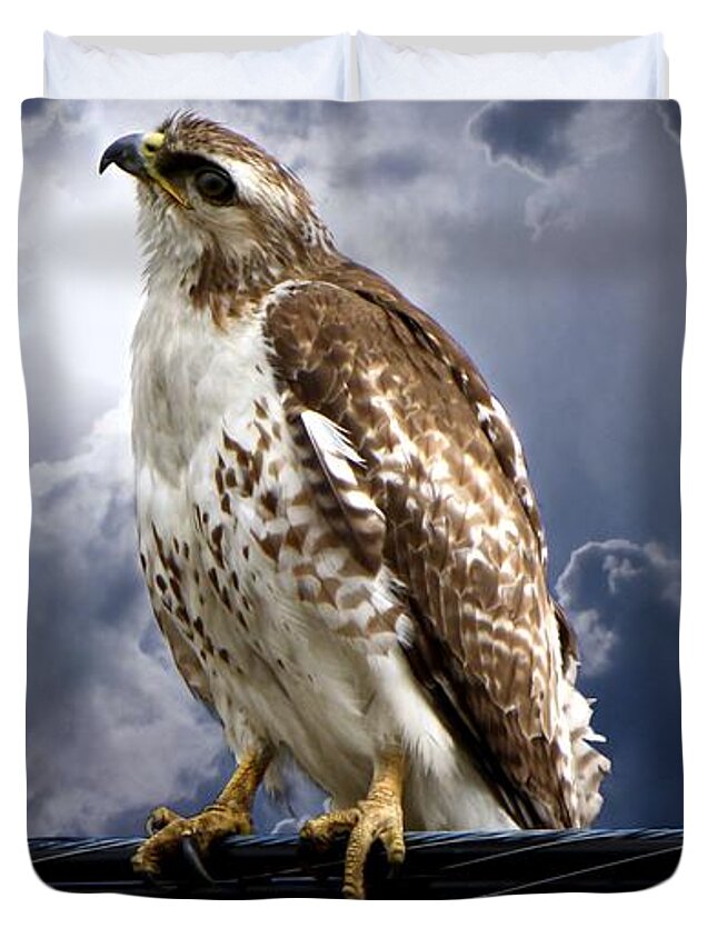 Hawk Duvet Cover featuring the photograph Listening to Gaia by Heather King