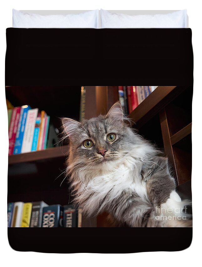 Siberian Duvet Cover featuring the photograph Literary Cat by Louise Heusinkveld