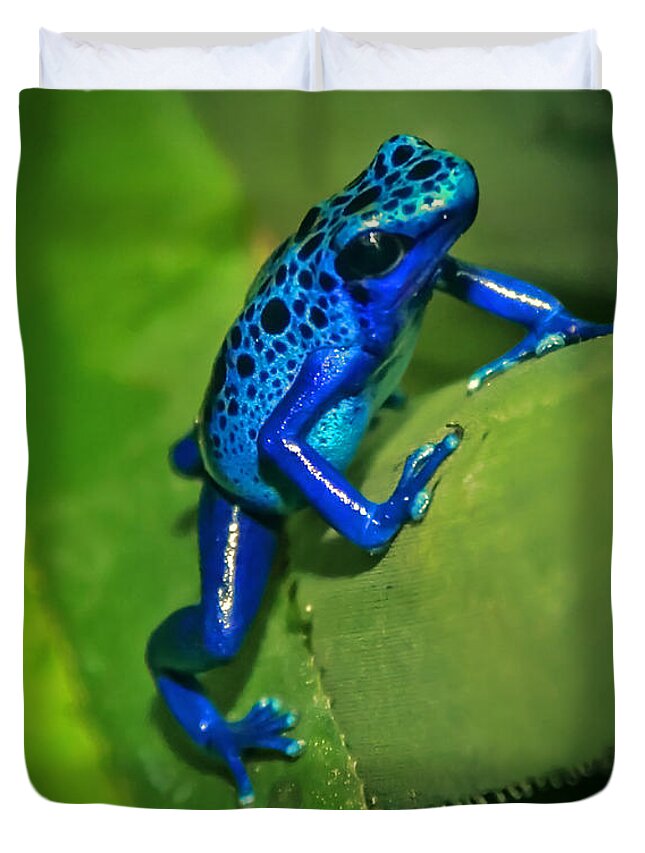 Frogs Duvet Cover featuring the photograph Little Garden Friend by Elaine Malott