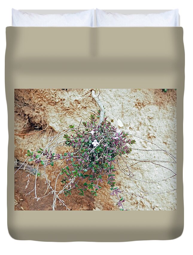 Wildflower Duvet Cover featuring the photograph Little Himalayan Jewel by Pema Hou