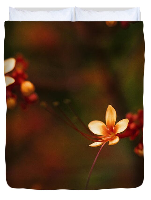 Flowers Duvet Cover featuring the photograph Little Red Flowers by Bradley R Youngberg