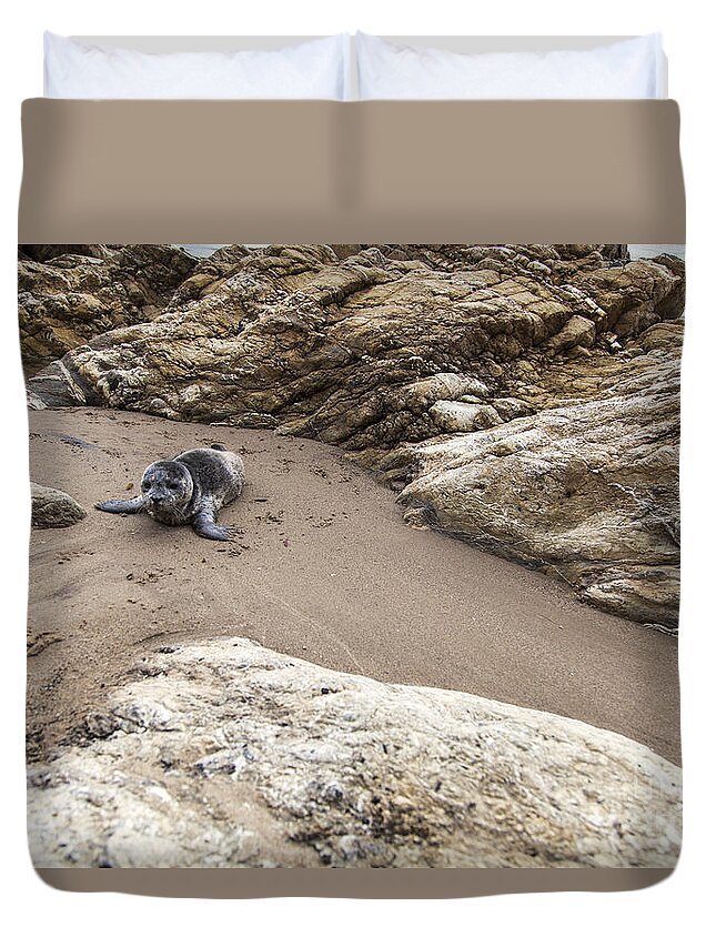 Little Things In Life Duvet Cover featuring the photograph Little things in Life by David Millenheft