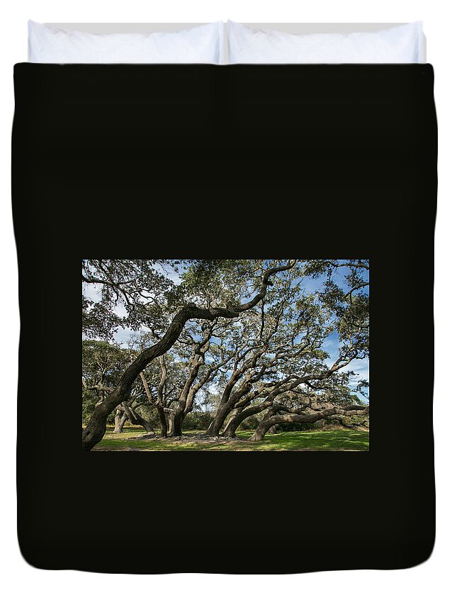 Live Oak Duvet Cover featuring the photograph Twisted by Time by Jurgen Lorenzen