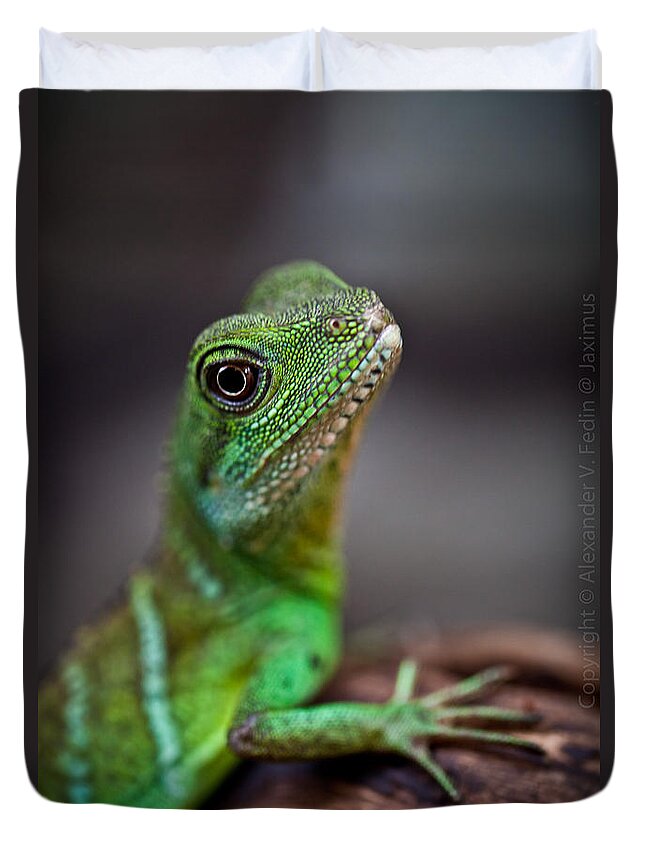 Lizard Duvet Cover featuring the photograph Lizard by Alexander Fedin