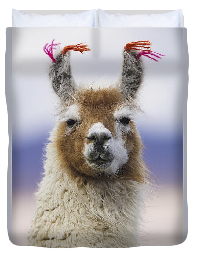 Llama Duvet Cover featuring the photograph Llama in Bolivia by Art Wolfe MINT