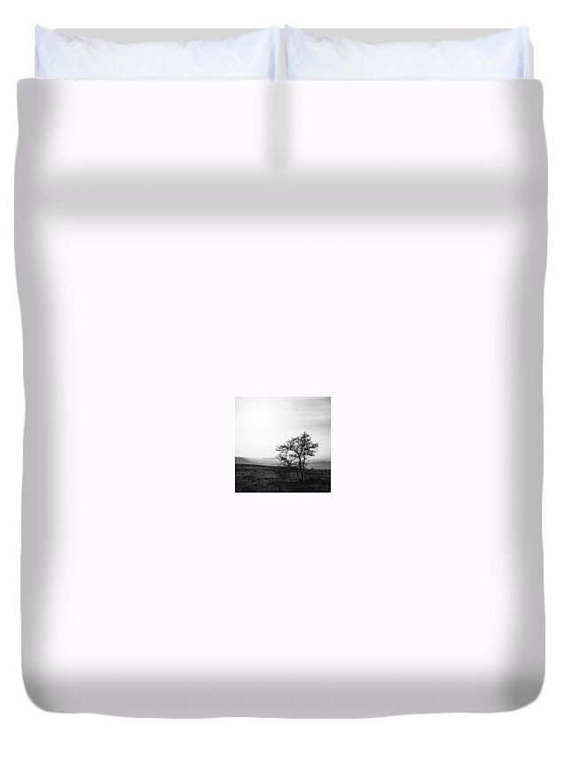  Duvet Cover featuring the photograph Lone Tree, India by Aleck Cartwright