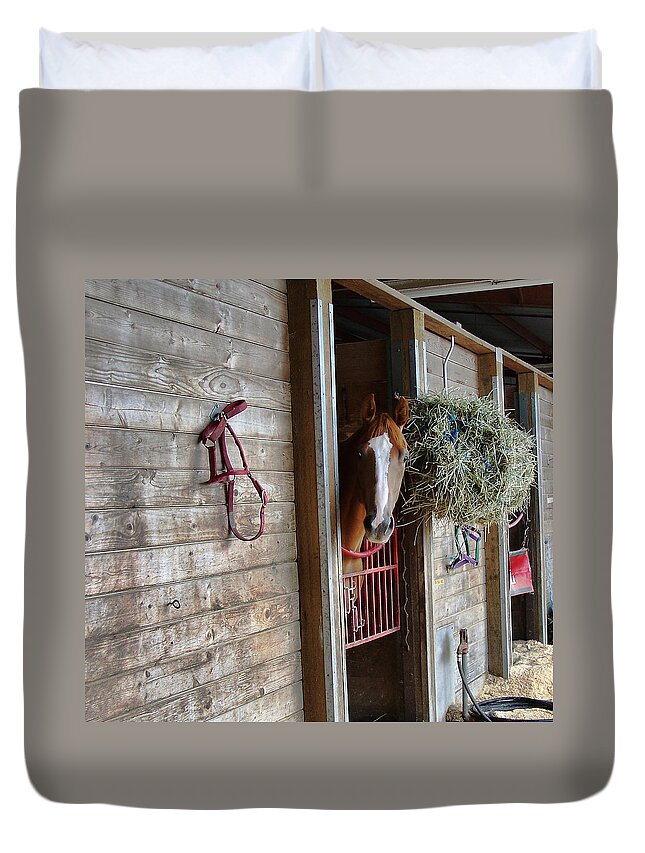 Race Horse Duvet Cover featuring the photograph Lonesome by Ron Roberts