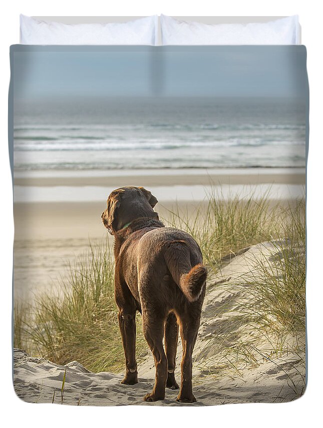 Lab Duvet Cover featuring the photograph Longing by Jean Noren