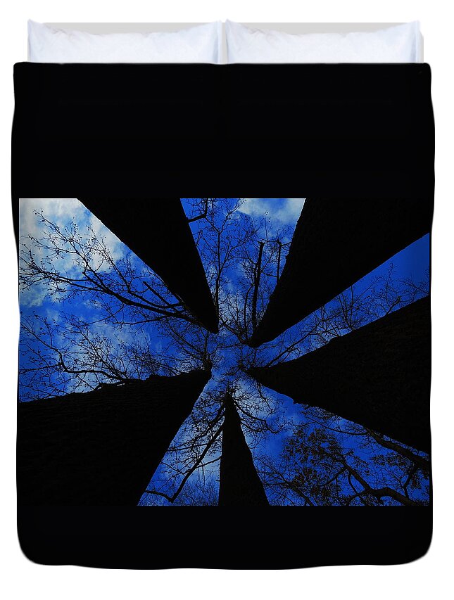 Trees Duvet Cover featuring the photograph Looking Up by Raymond Salani III