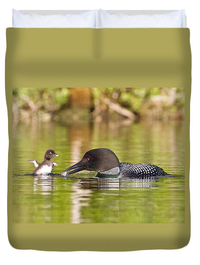 Common Loon Duvet Cover featuring the photograph Loon Chick Excited for Breakfast by John Vose