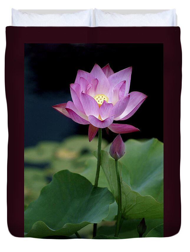 Lotus Blossom Duvet Cover featuring the photograph Lotus Blossom by Penny Lisowski