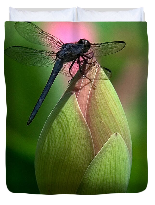 Lotus Bud Duvet Cover featuring the photograph Lotus Bud and Slatey Skimmer Dragonfly DL006 by Gerry Gantt