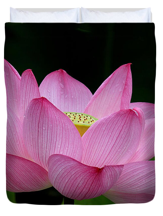Nature Duvet Cover featuring the photograph Lotus-Center of Being iii DL033 by Gerry Gantt