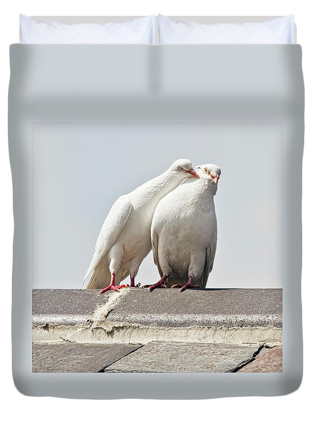 Animal Themes Duvet Cover featuring the photograph Love Birds Being Lovey Dovey by Blackcatphotos